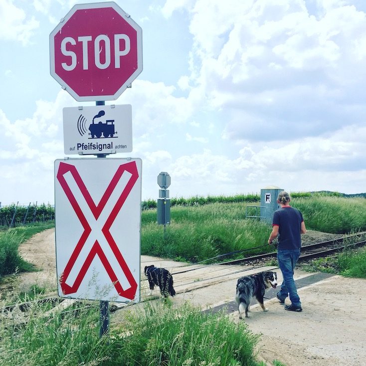 Weinviertel Weinviertel Wandern und Camping mit Hund Österreich Retz Thayatal