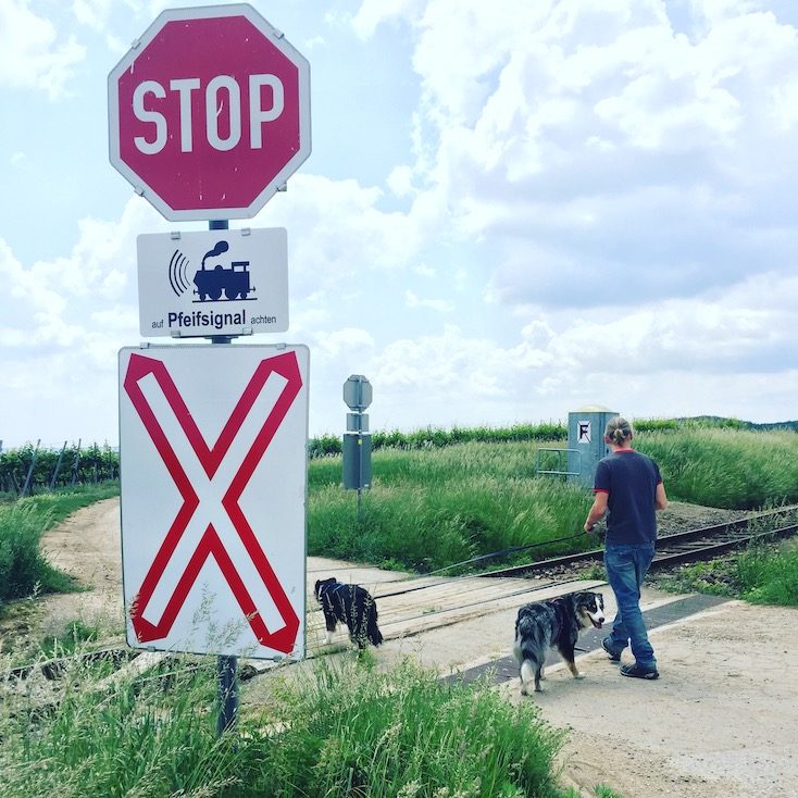 Weinviertel Wandern und Camping mit Hund Österreich Retz Thayatal