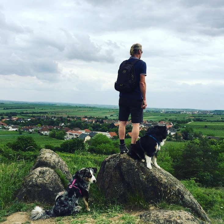 Weinviertel Urlaub mit Hund Camping Wandern Kurzurlaub Retz Niederösterreich 