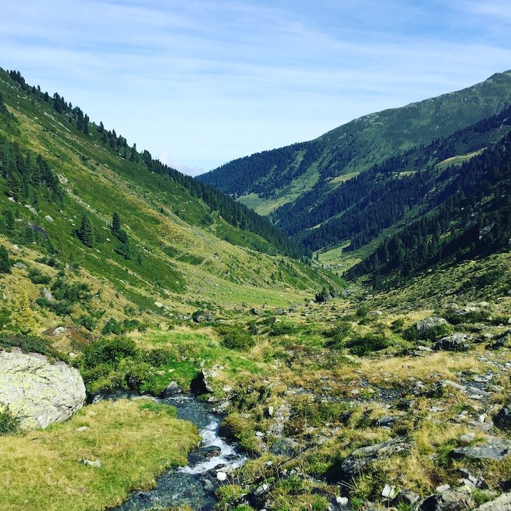 Pallspitze Frommtal Frommbach Frommalm Kelchsau Wanderung HUnd Sommer Brixental Langer Grund Tirol