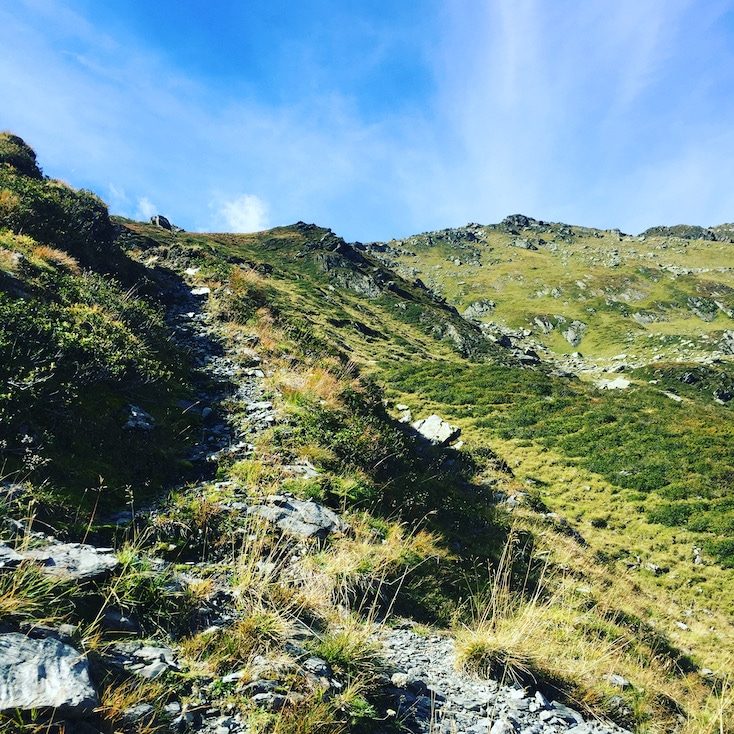 Pallspitze Pallspitze Kelchsau Brixental Kitzbüheler Alpen Gasberge Wandern mit Hund Almwandern
