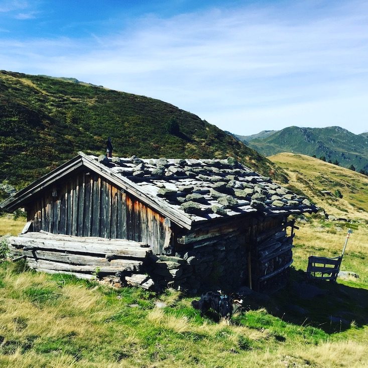 Pallspitze Jagglfeldalm Kelchsau Langer Grund Brixental Wanderung mit Hund unterwegs Tirol Bergtour