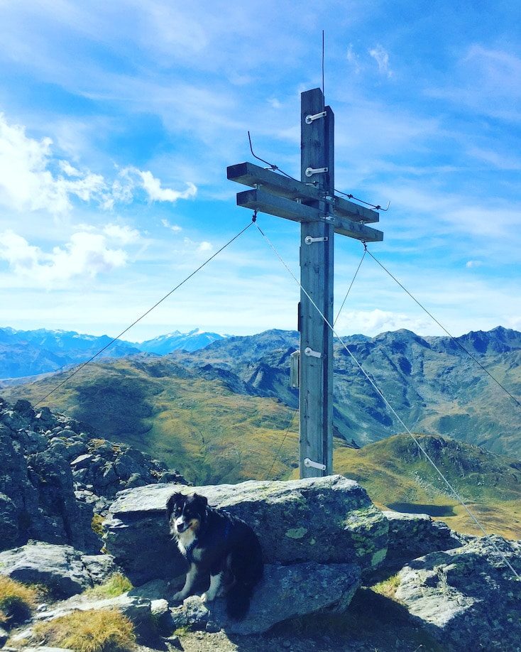 Pallspitze Pallspitze wandern mit Hund Camping Roadtrip Kurzurlaub Kitzbüheler Alpen Brixental Kelchsau Wanderung Langer Grund