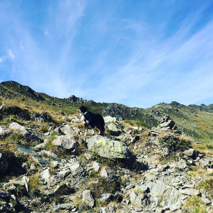 Pallspitze Pallspitze Kelchsau Brixental Kitzbüheler Alpen Wanderung mit Hund Roadtrip Camping
