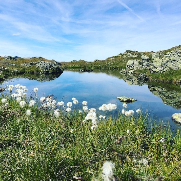 Pallspitze Blaue Lacke Wandern mit Hund Kelchsau Brixental Langer Grund Kitzbüheler Alpen