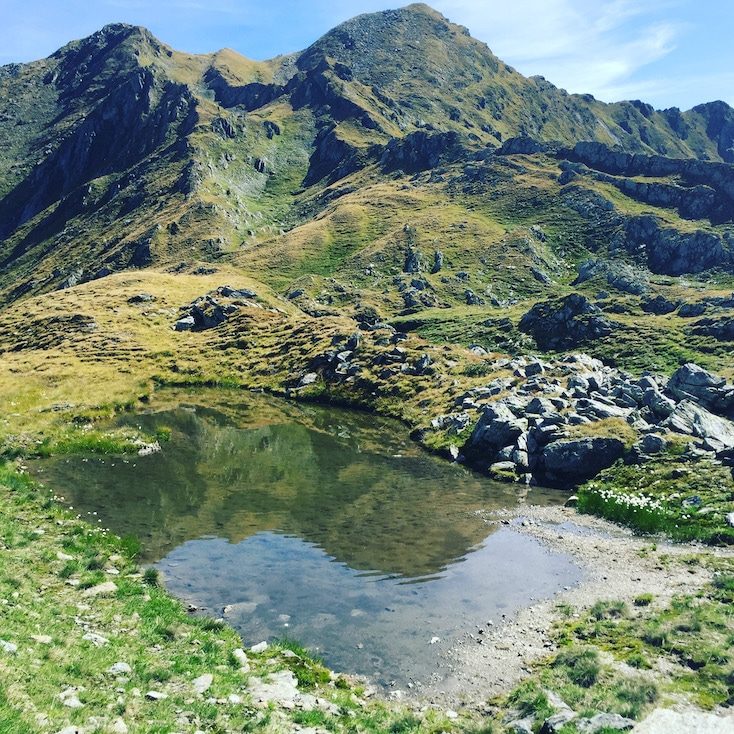 Pallspitze Pallspitze Blaue Lacke Kitzbüheler Alpen Brixental Langer Grund Wanderung mit Hund Tour Sommer