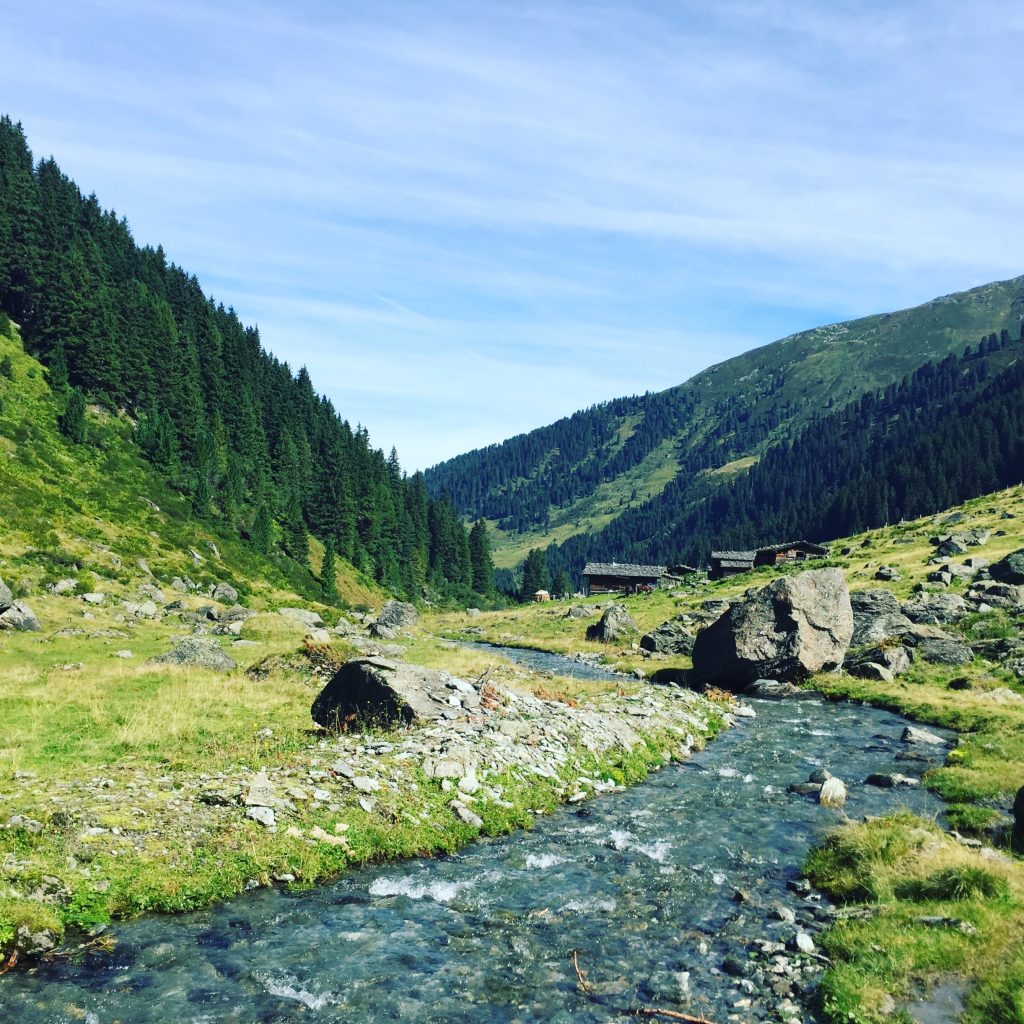 Pallspitze Frommtal Kelchsau Langer Grund Brixental Wandern Wanderung mit Hund Tirol