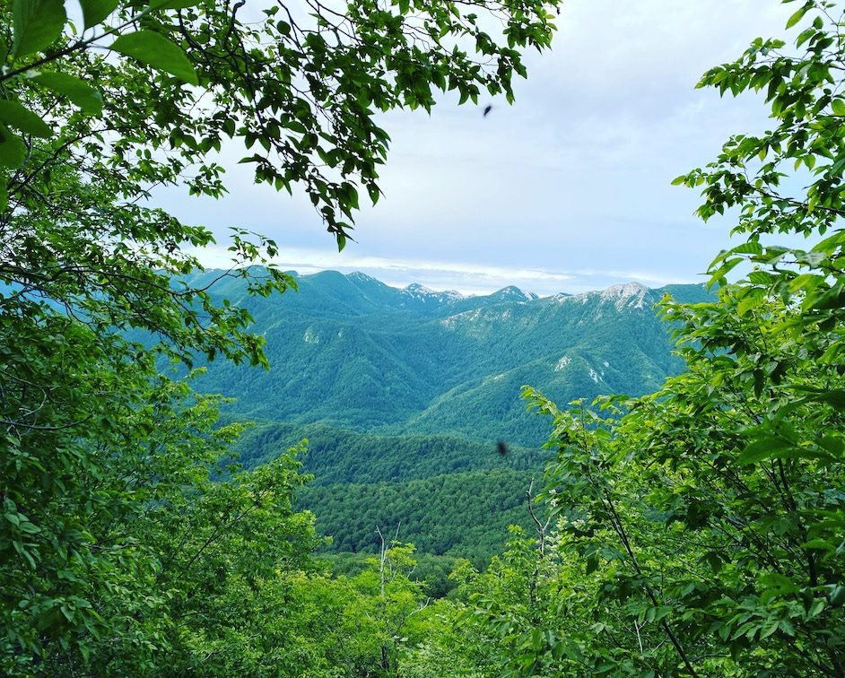 Kamp Velebit Crni Vrh Wandern im Velebit Gebirge Hiking Kroatien Wandern mit Hund Rundweg