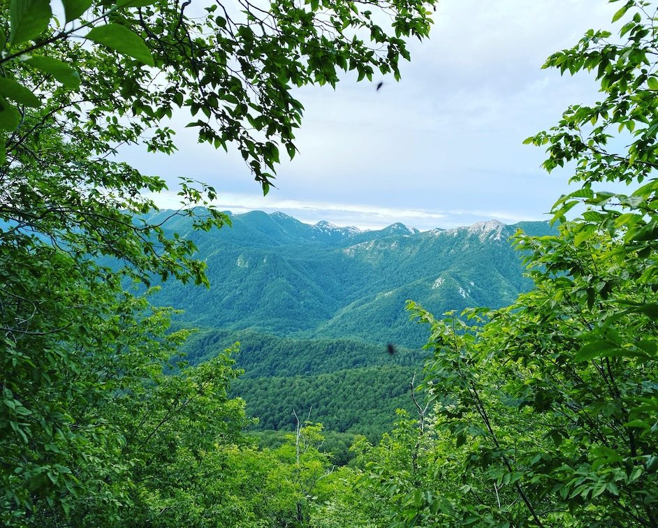 Crni Vrh Wandern im Velebit Gebirge Hiking Kroatien Wandern mit Hund Rundweg