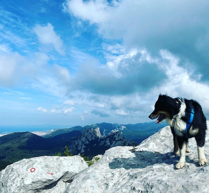 Wandern mit Hund im Velebit Gebirge Kroatien Ljubičko brdo
