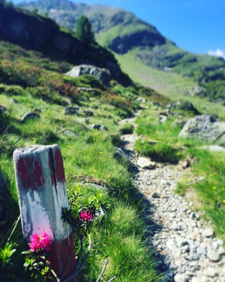 Kaunertal Wanderung Weißsee Hund Camping Tirol
