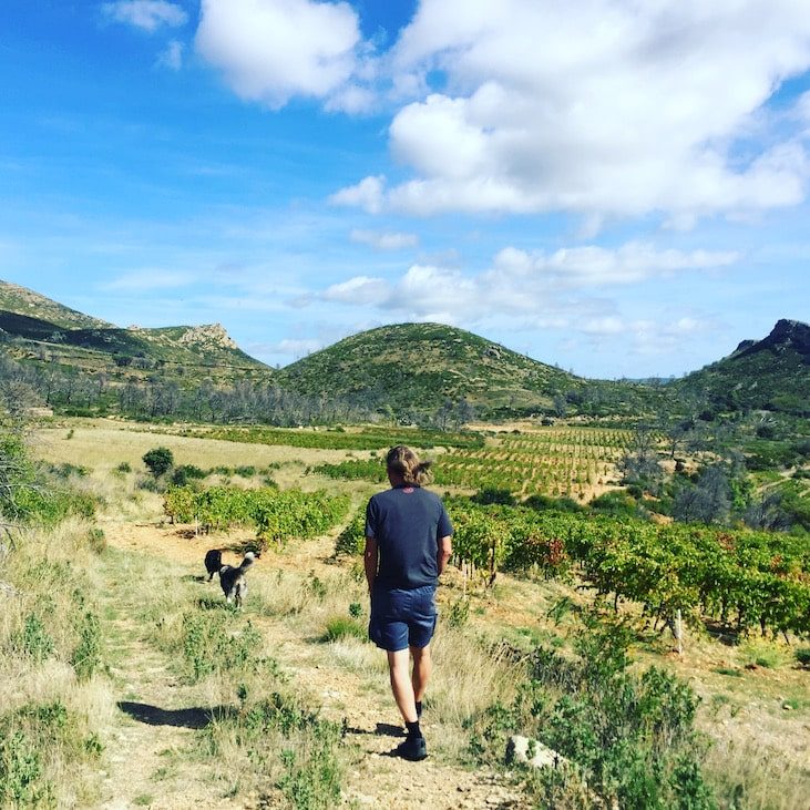 Languedoc Roussillon Südfrankreich Frankreich Wandern mit Hund Camping Wohnmobil Reisen Kastenwagen Van