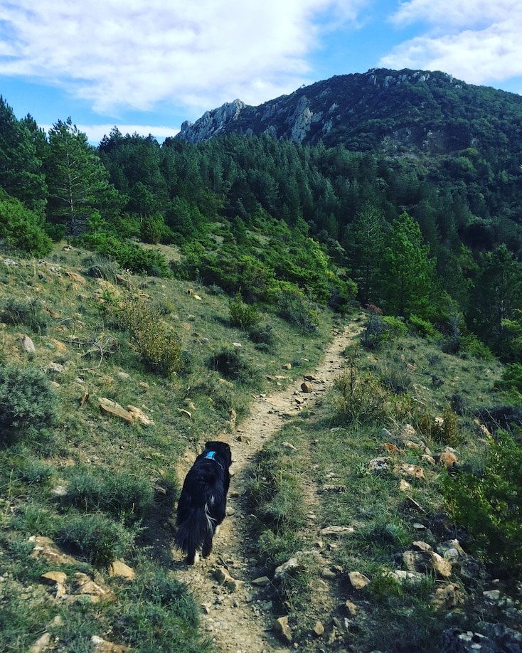 Languedoc Roussillon Südfrankreich GR 367 Frankreich Wandern mit Hund Weitwanderweg Sentier Cathare Aude Pays Cathare