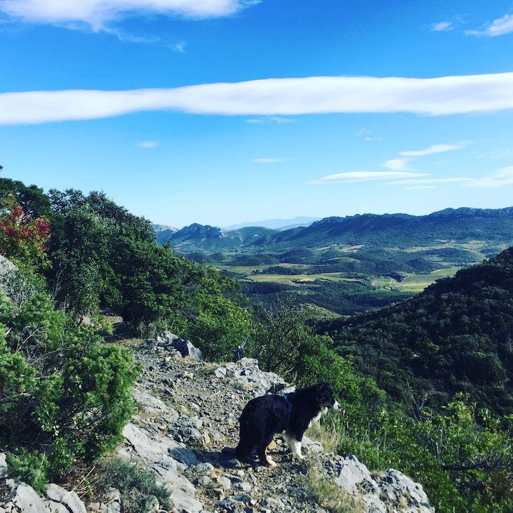 Languedoc Roussillon Wandern mit Hund Frankreich Südfrankreich Weiterwandern Fernwanderweg Sentier Cathare Aude Pays Cathare GR 367