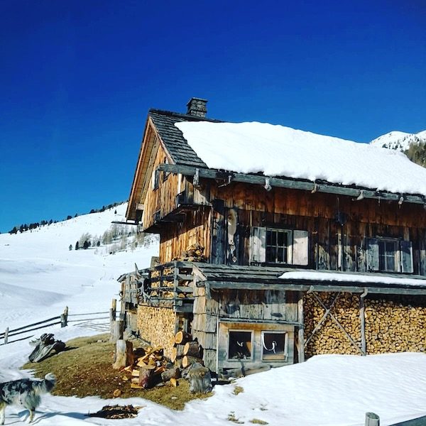 Osttirol Osttirol Staller Sattel Defreggental Wintercamping Hund Schneeschuhwandern