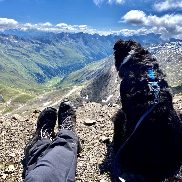 Großes Degenhorn wandern mit Hund Osttirol Hoher Tauern Australian Shepherd Gipfeltour