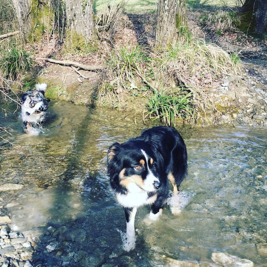 Umbrien Wanderung Hund Italien Camper Wohnmobil camping