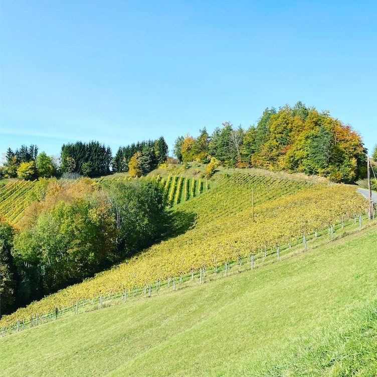 Südsteiermark Wohnmobil Rundreise Südsteiermark Panoramastraßen Weinstraße Camping