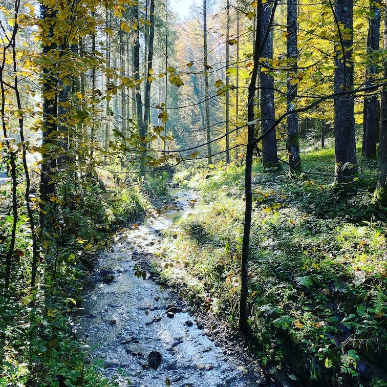 Südsteiermark Steiermark Österreich wandern Wald Buschenschank Weingut Klug