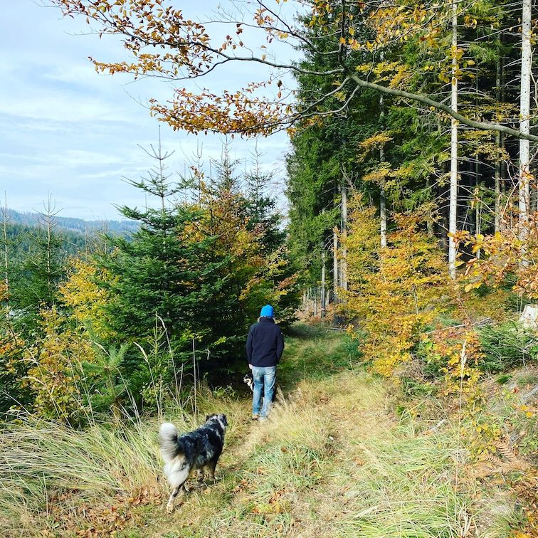 Südsteiermark Soboth Wandern mit Hund Steiermark