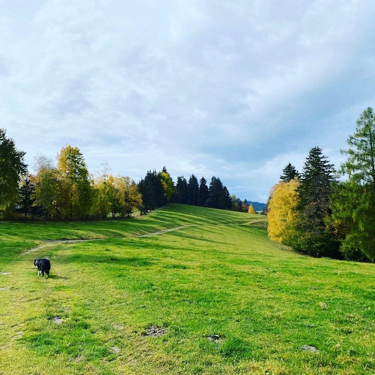 Südsteiermark Steiermark Grenzpanoramaweg Südalpenweg 03 Wandern mit Hund weitwandern Grenze