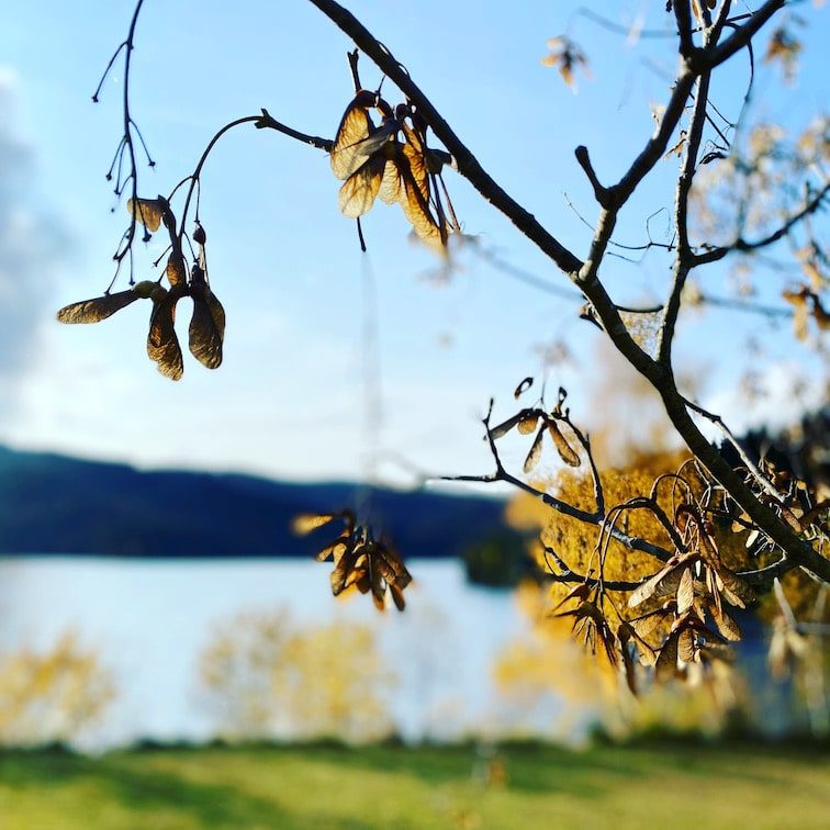 Südsteiermark Steiermark Soboth Stausee Camping Stellplatz Wohnmobil Österreich