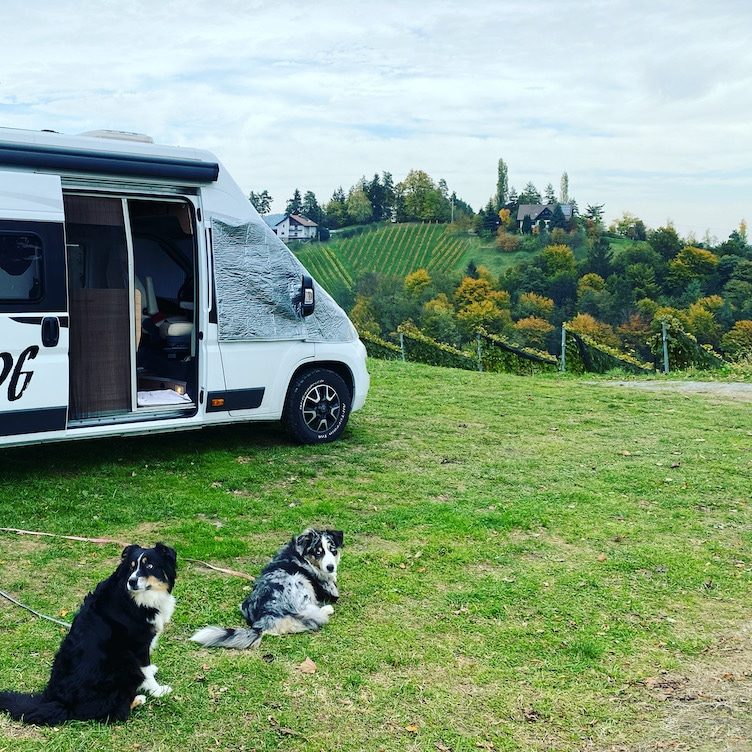 Südsteiermark Südsteiermark Kastenwagen Vanlife Hund Weingut Grill Herbst Wohnmobil reise Österreich Australian Shepherd