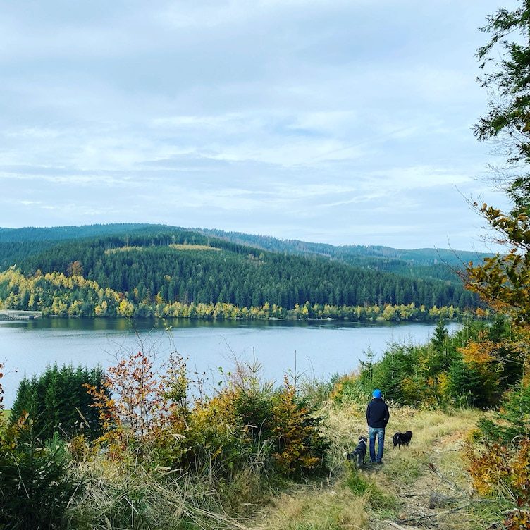 Südsteiermark Steiermark Kärnten Soboth Stausee Wandern mit Hund Österreich