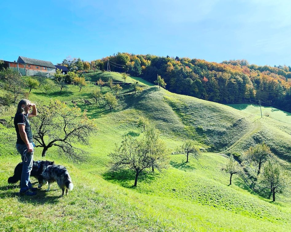 Südsteiermark Südsteiermark Weinstraße Camping Wandern mit Hund Herbst Österreich