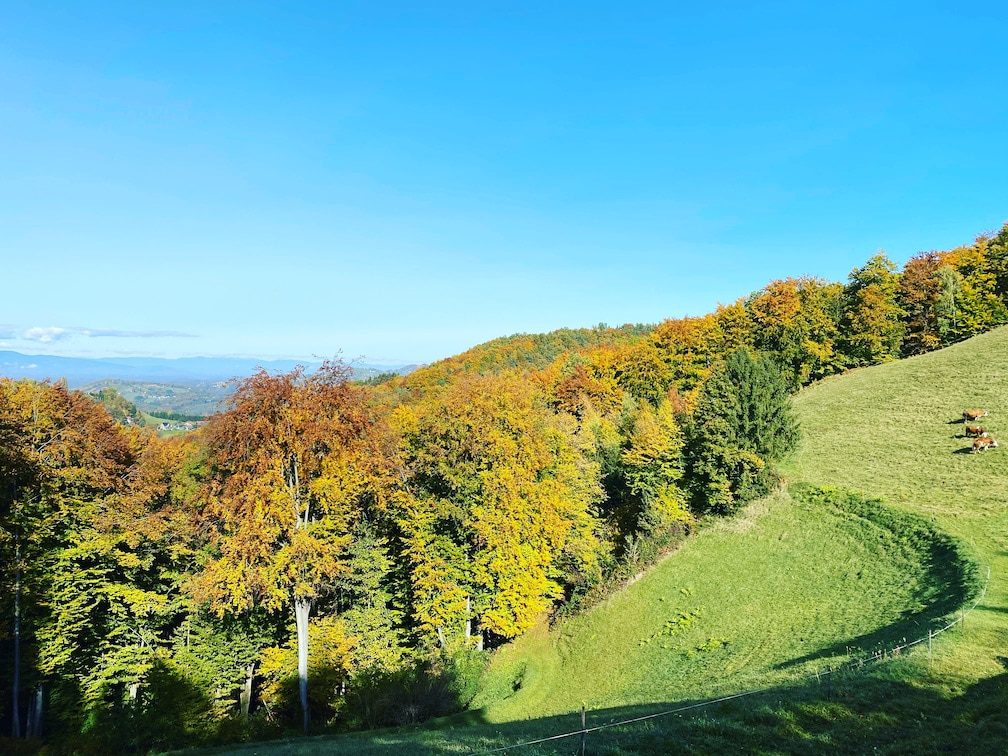 Südsteiermark Südsteiermark wandern Weingut Klug Buschenschank Herbst