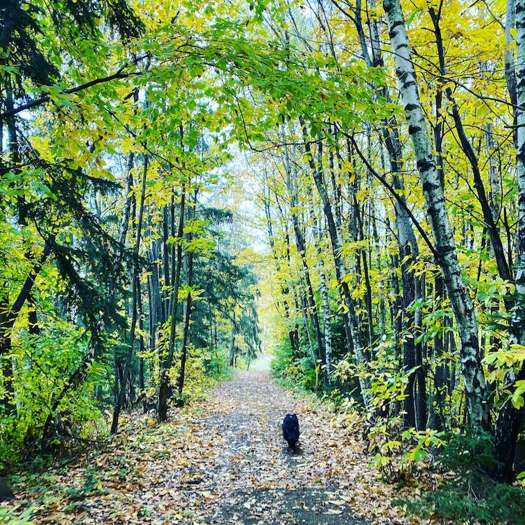 Südsteiermark Steiermark Wandern mit Hund Grenzpanoramaweg Südalpenweg 03 Wegwandern Grenze Herbst Weinstraße