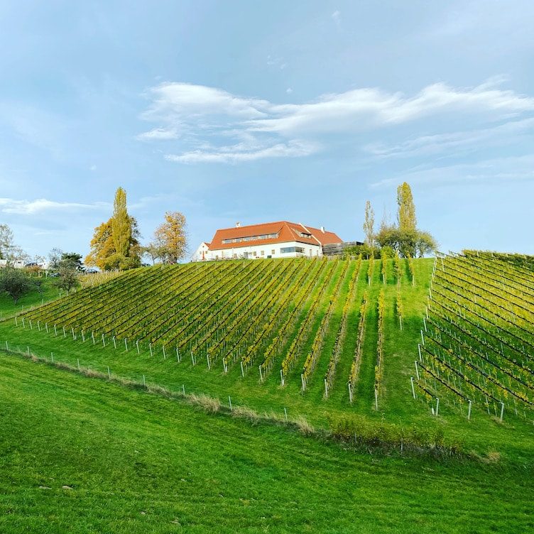 Südsteiermark Südsteiermark Steiermark Weinstraße Oberguess Österreich Weingut Wohnmobil Stellplatz Camping Buschenschank