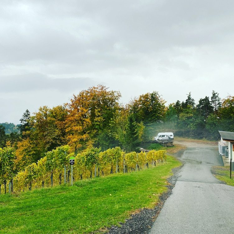 Südsteiermark Südsteiermark Weingut Klug Camping Wohnmobil Stellplatz Steiermark Winzer Österreich
