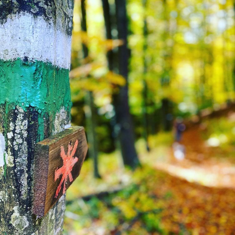 Südsteiermark Steiermark Wandern Österreich Wanderweg