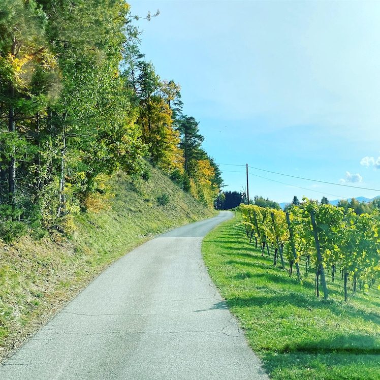 Südsteiermark Südsteiermark Panoramastraßen Weinstraße Roadtrip Rundreise Wohnmobil Campingbus Herbst