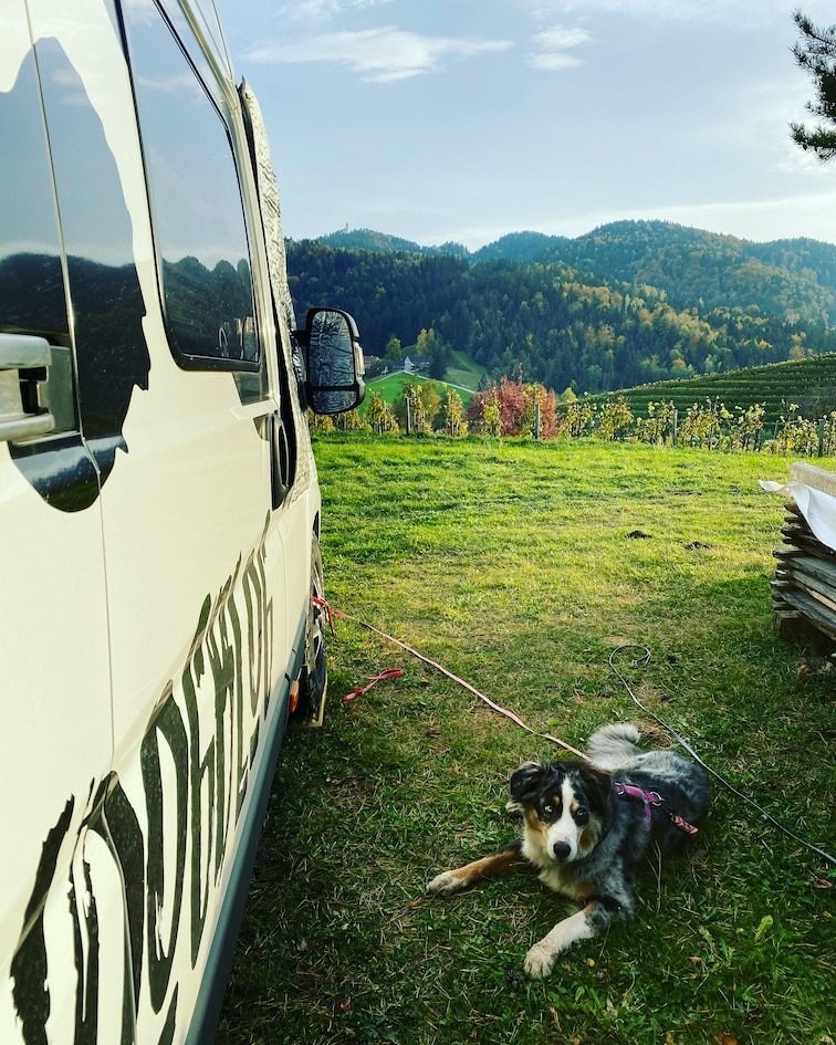 Südsteiermark Steiermark Weingut Oberguess Reisen mit Hund Weinstraße Camping Wohnmobilstellplatz