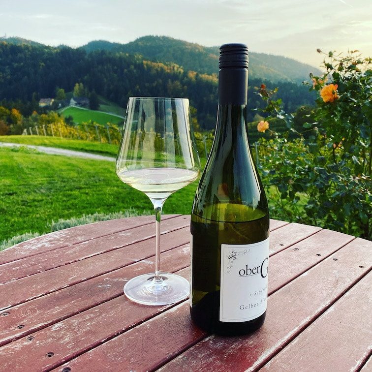 Südsteiermark Südsteiermark Oberguess Wein Winzer Riesling Buschenschank Herbst Wohnmobil Weinstraße