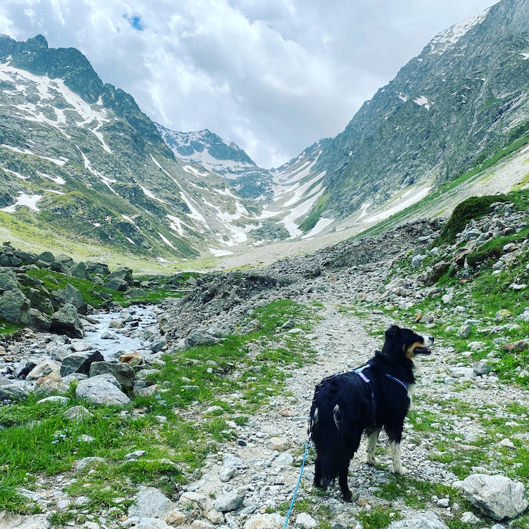 Valle Gesso Valle Gesso Colle di Finestra Vallone delle Barra wandern mit hund Seealpen