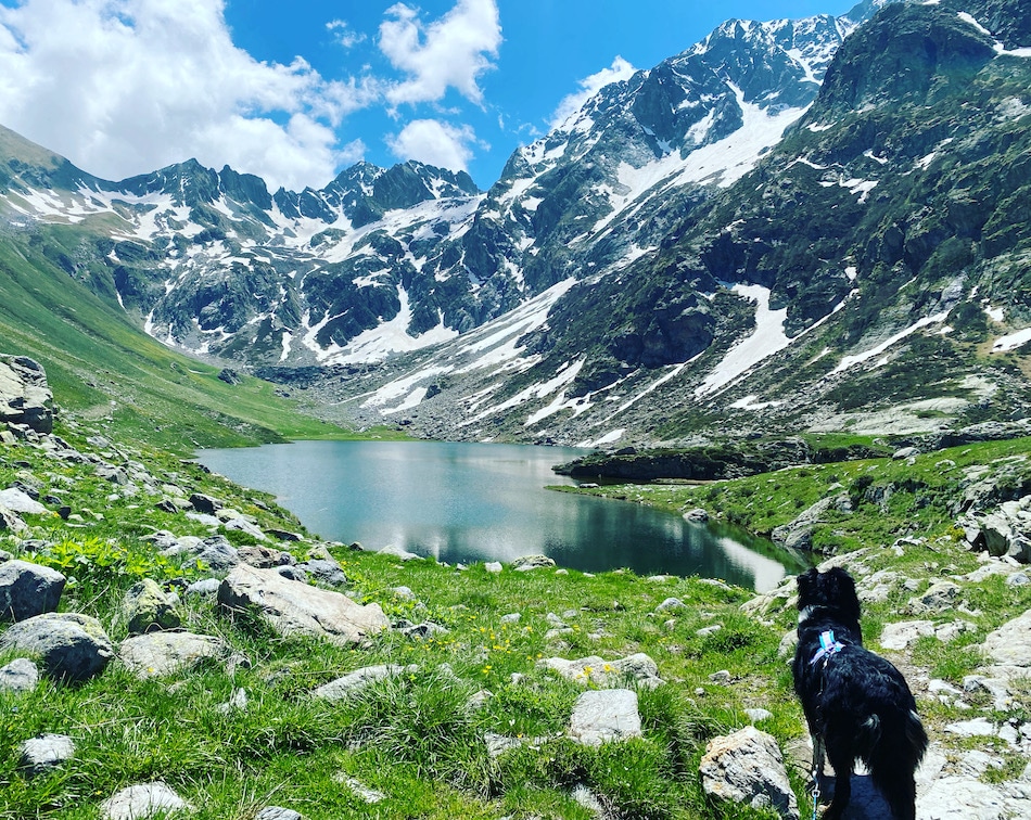 Valle Gesso Valle Gesso Wandern mit Hund Seealpen Naturpark Piemont Italien Lago Bei del Bouc
