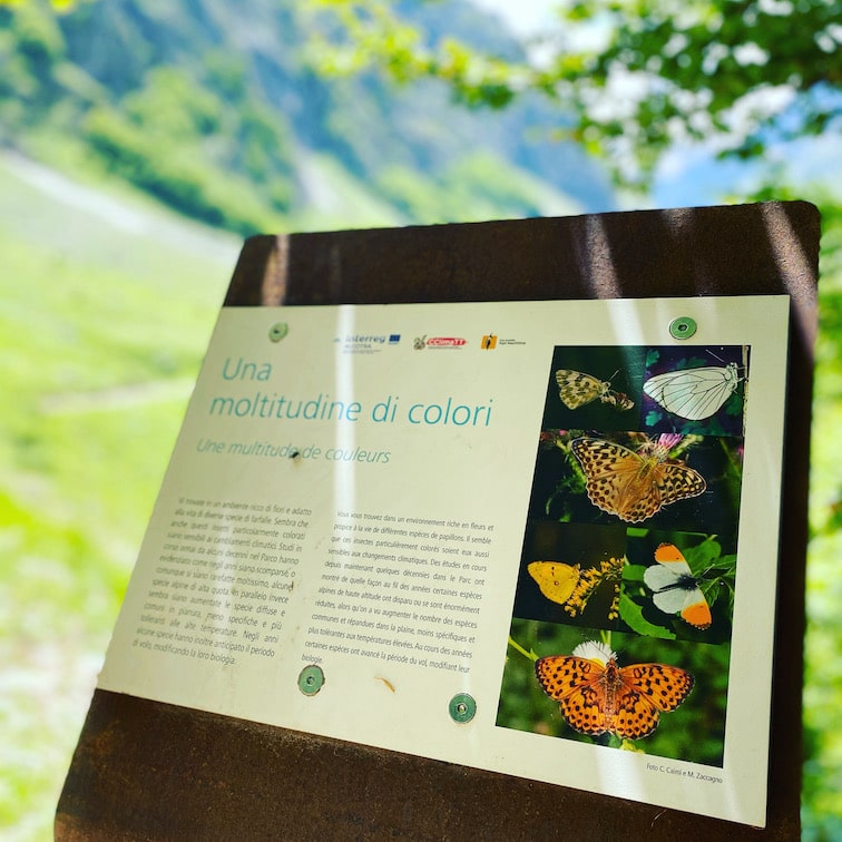 Valle Gesso Valle Gesso Piemont Seealpen Naturpark Italien Pra del Rasur Wandern