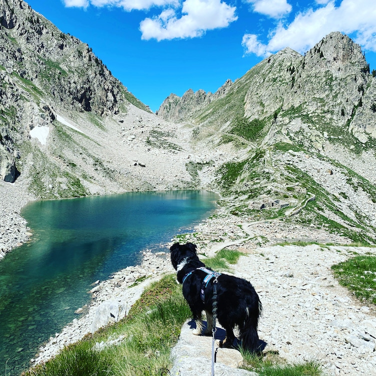 Valle Gesso Lago Fremamorta Wandern mit Hund Seealpen Naturpark Terme di Valdieri Piemont Italien Hund erlaubt