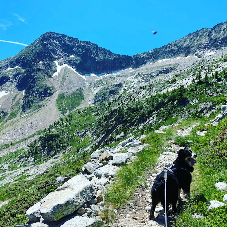 Valle Gesso Wandern mit Hund italienische Seealpen Leinenpflicht Wanderung
